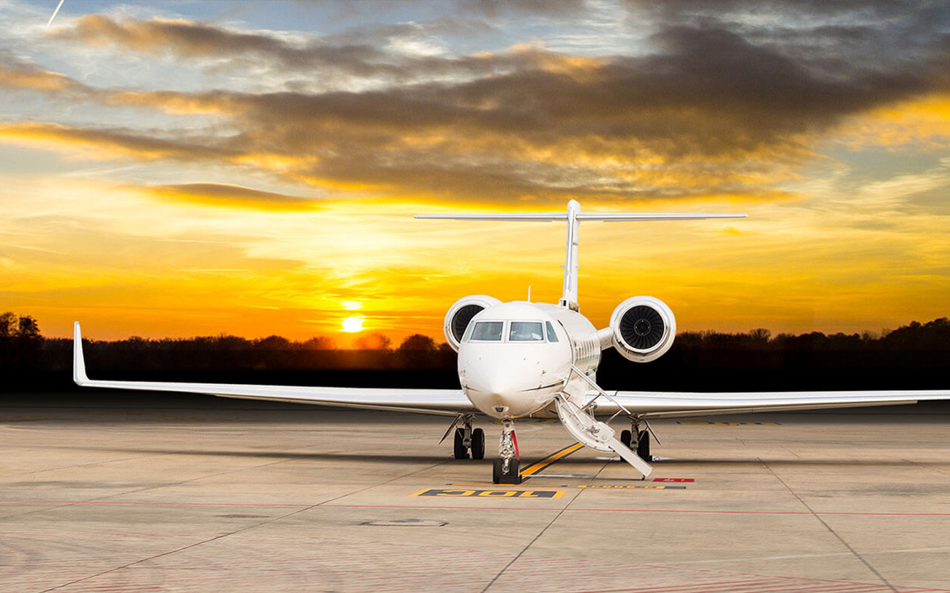 574270897_1167193462210854_2090266911566763203_n (1).jpg